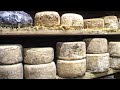 La tome de savoie le fromage aux mille recettes