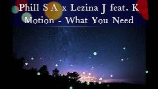Phill SA x Lezina J feat. K Motion - What You Need (coming Soon)