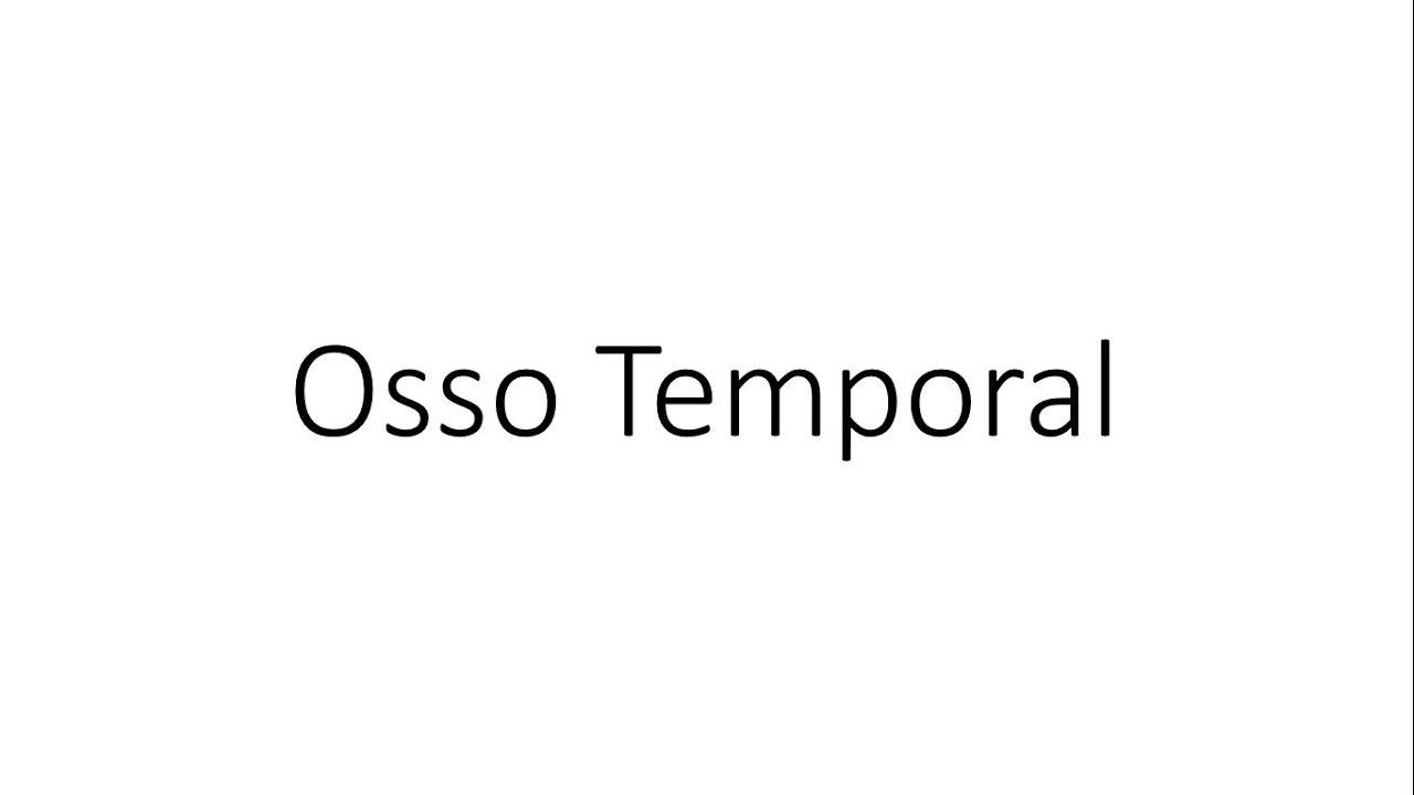 Cabeça - Osso Temporal