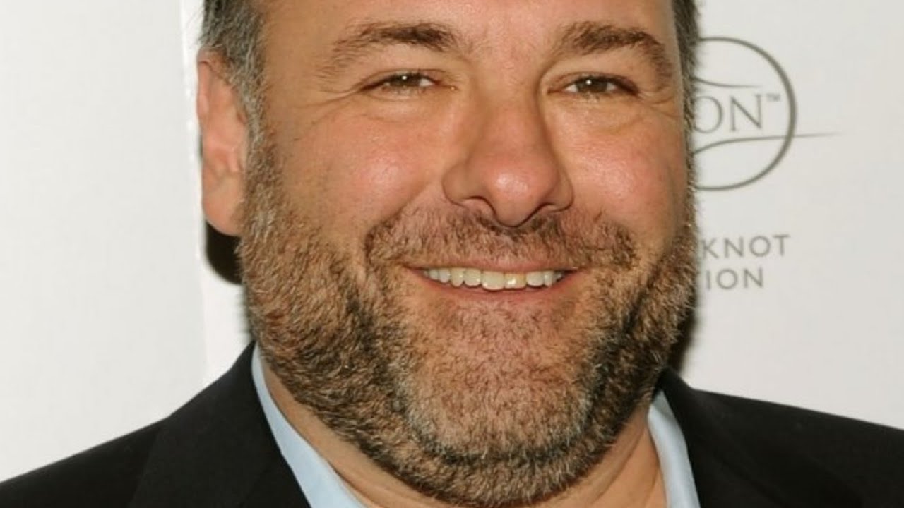 The Real Reason HBO Was So Concerned About James Gandolfini Before His Death