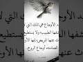 رماد الروح عبارات فخمه للعقول الراقية فقط