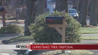How to dispose of your Christmas tree
