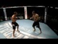 BAMMA Fight Night 2: (Main Event) Ion Pascu vs Lee Chadwick