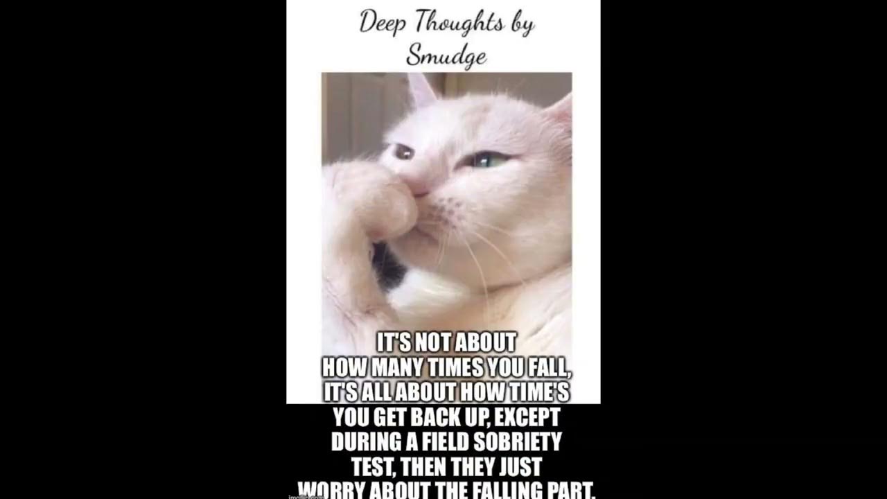 Deep Thoughts By Smudge YouTube