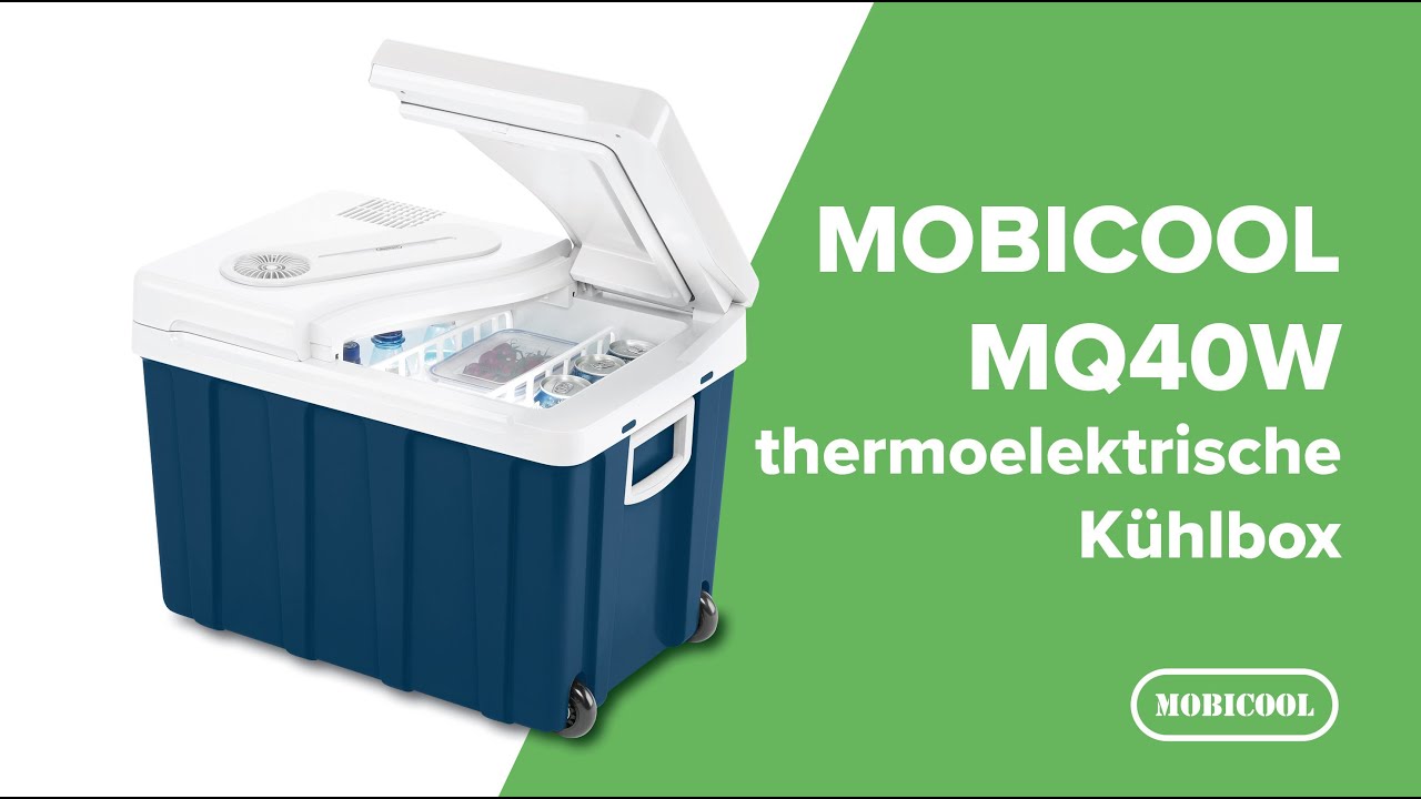 MQ40W thermoelektrische Kühlbox 