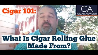 What is cigar rolling glue made from - Cigar 101