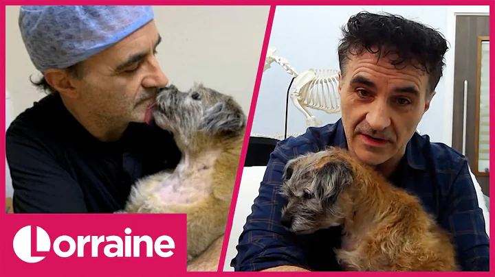 Noel Fitzpatrick Shares Incredible Story of Saving...