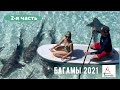 Плавание с акулами и экстрим на райском острове Багамы 2021