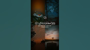 تلاوة قرانية هادئه من سورة النمل |بصوت القارئ سعد الغامدي | تلاوة 🙂 تريح القلب♥والروح😇#قرآن_كريم