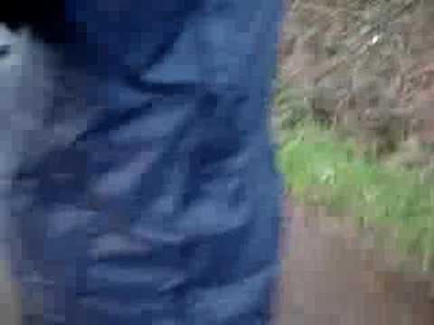 Walking