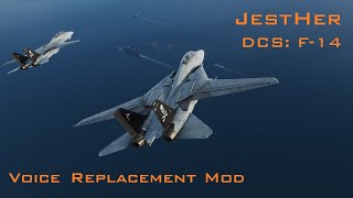Prez in DCS | DCS F-14 | Voice Replacement Mod