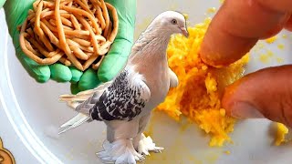 ГЛИСТЫ 100% это средство помогает моим голубям!!! WORMS 100% this remedy helps my pigeons!!!