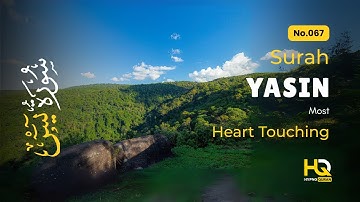 Relaxing Quran Surah Yaseen سورة يس for Better Sleep, Depression, Spiritual Calm ✦ Quran For Sleep