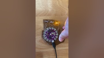 Arduino Lilypad for Mindfulness dog