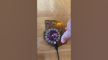 Arduino Lilypad for Mindfulness dog