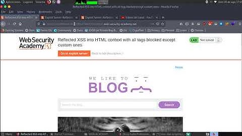 Reflected XSS into HTML context with all tags blocked except custom ones