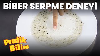 Biber Serpme Deneyi Pratik Bilim S1E3 Da Vinci