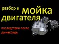 Разбор и мойка двигателя мопеда альфа. Последствия после димексида