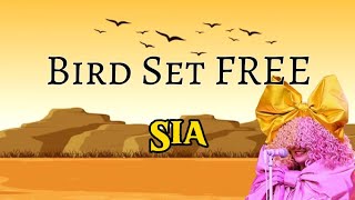 Bird Set Free - Sia