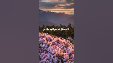 راحة نفسية  😴😴: لا تدري لعل الله يحدث بعد ذلك أمرا. : القارئ  رعد الكردي. سورة الطلاق