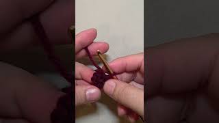 Crochet magic ring and sc x7