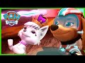 Mighty Pups Stop The Mighty Queen Sweetie PAW Patrol Episode Cartoons For Kids Mighty Pups Stop The Mighty Queen Sweetie PAW Patrol Episode Cartoons For Kids