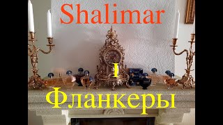 SHALIMAR. ФЛАНКЕРЫ. РОДОСЛОВНАЯ, ИСТОРИЯ.