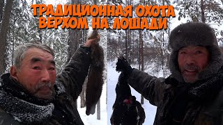 Традиционная охота на соболя верхом на лошади