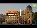 Droit commercial actes de commerces les commerants les agentscommerciaux ngv33