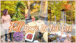 NEW🍂Embracing Autumn | My Fall Harvest Party, Corn Maze Fun, and Festive Menu!