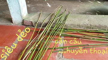 Cần câu nhánh tre huyền thoại. Cách làm cần câu cắm đơn giản ít tốn kém | Săn bắt SÓC TRĂNG |