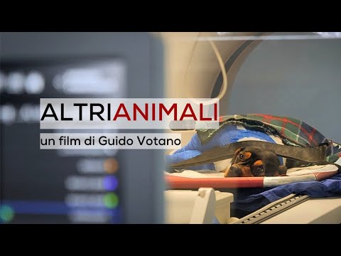 Trailer altri animali 1min 54 sec