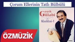 Çorum Ellerinin Tatlı Bülbülü - Aşık Gülabi  Resimi