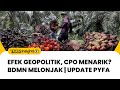 LIVE! Efek Geopolitik, Saham CPO jadi Opsi? Saham BDMN Alami Kenaikan? Update PYFA | TIGER INSIGHTS