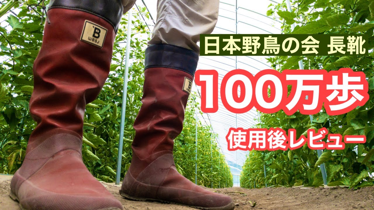 農作業長靴】北海道農家が大人気長靴の耐久性をチェック！ - YouTube