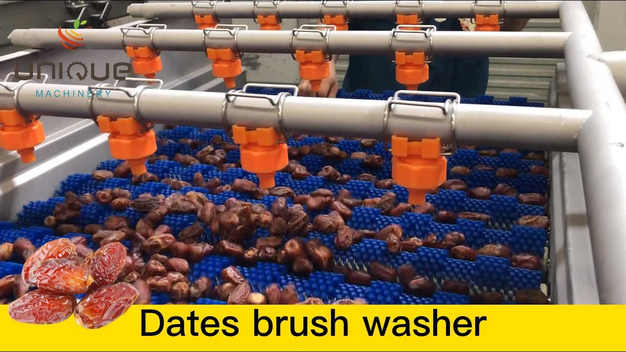 Palm dates brush washing cleaning and polishing machine - YouTube