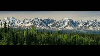 Mammal Hands - Boreal Forest
