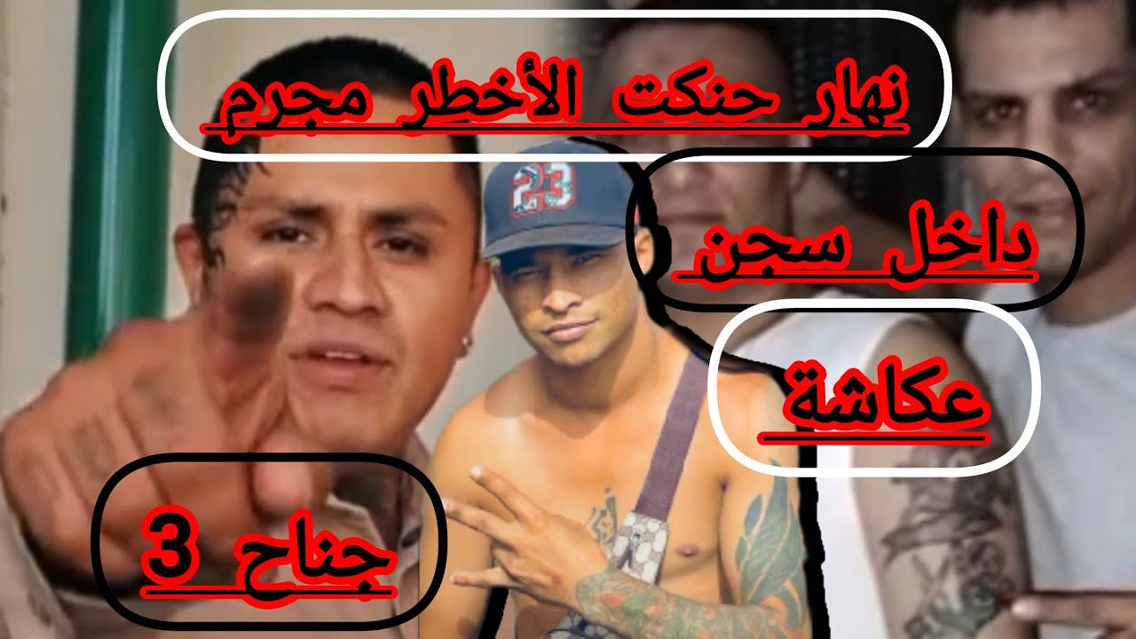 شينوي..😱 كيفاش غنحنك الأخط--ر عنصر داخل سجن عكاشة جناح 3  ..😱 دخلت عليه بوجادي ونصب عليا فرزقي 