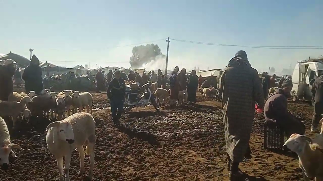 سوق الأربعاء