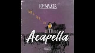 Tom Walker - Leave a Light On  (Acapella - good quality)