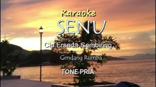 SENU Tone Pria Karaoke Lagu Karo