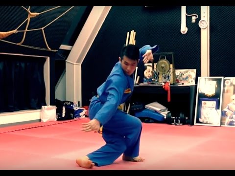 ボビナム PART19 VOVINAM ベトナム総合武術 格闘技 vovinam japan