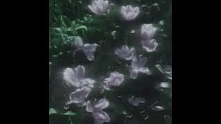 Grimes|genesis(instrumental)