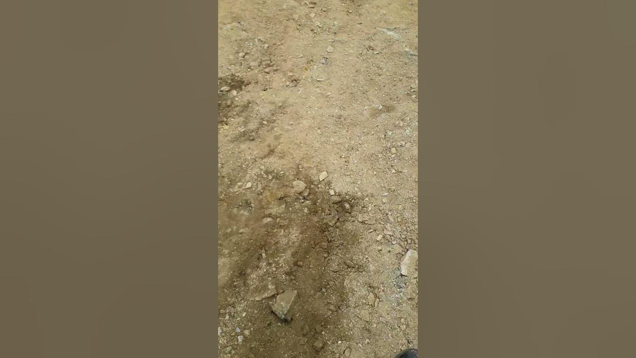 Y6666 - YouTube