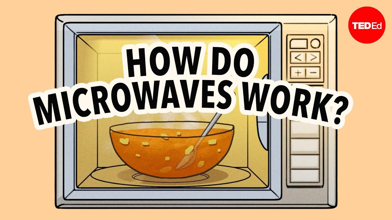 ⁣Why can't you put metal in a microwave? - Aaron Slepkov