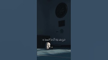 ولقد نعلم أنك يضيق صدرك بما يقولون #آية_تريح_القلب #اكسبلور #قرآن #تلاوة #حالات_واتس #خشوع_القرآن