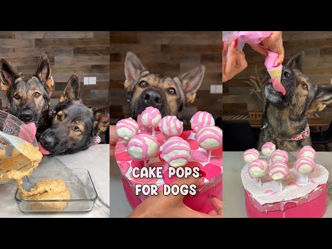Cake Pops For Dogs Recipe