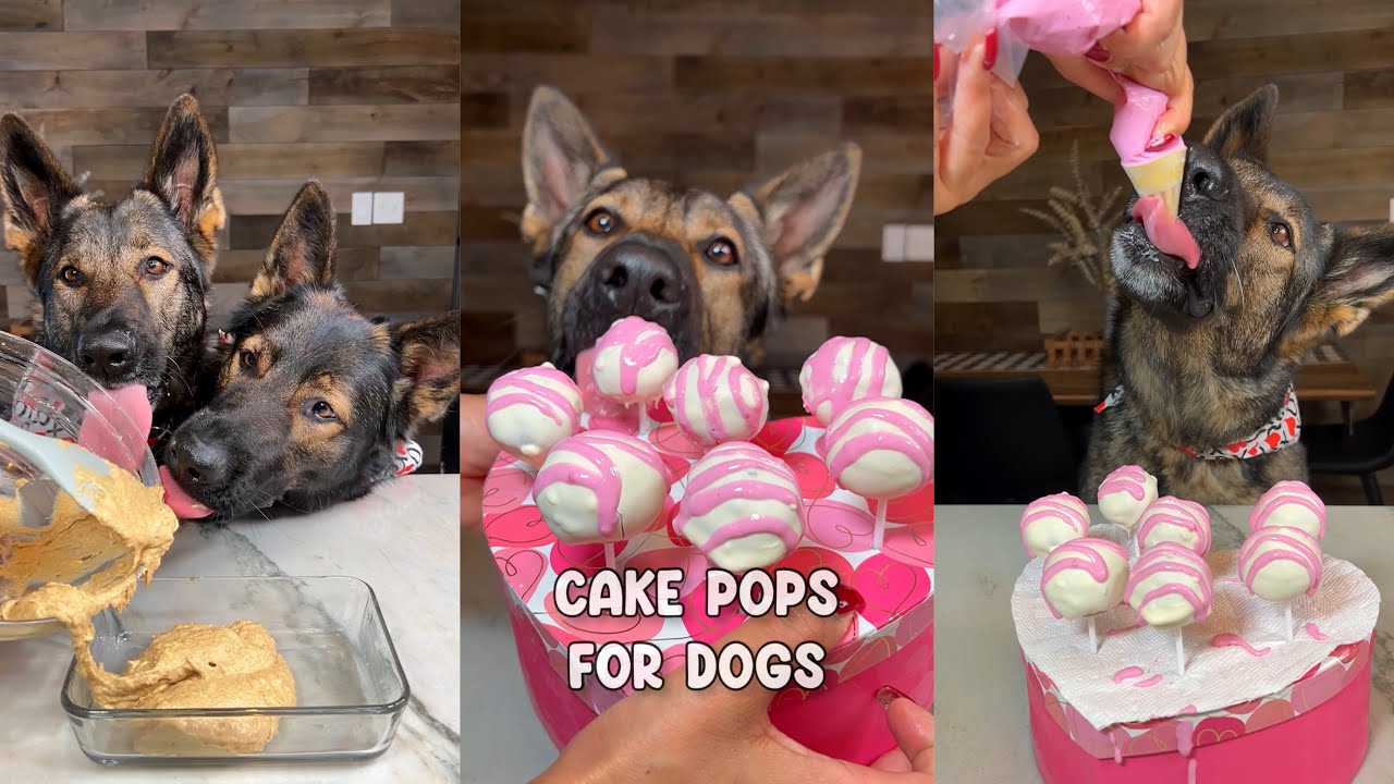 Cake Pops For Dogs Recipe YouTube