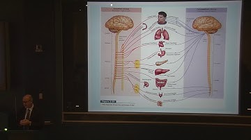 Matthew Siegel - Arousal, Emotion Regulation and Challenging Behaviors (January 24, 2018)