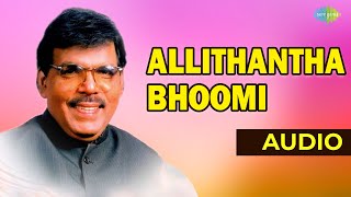 Allithantha Bhoomi Audio Song | Nandu | Malaysia Vasudevan | Ilaiyaraaja Hits